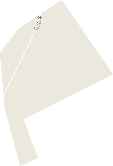 柳樹河林場電子地圖