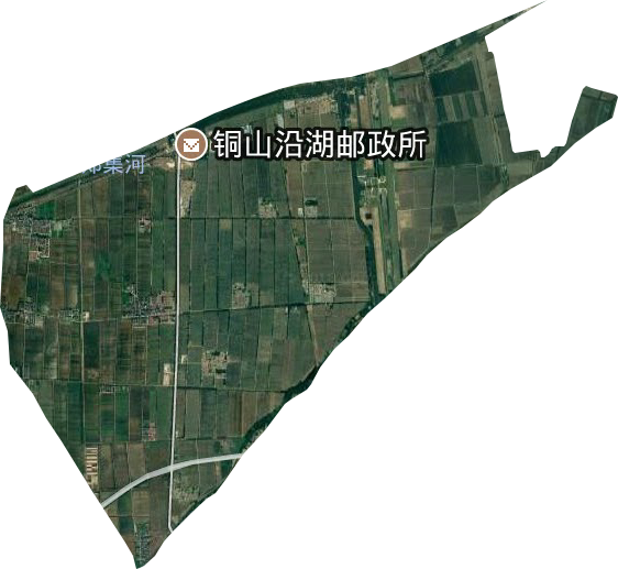國營沿湖農場衛星圖
