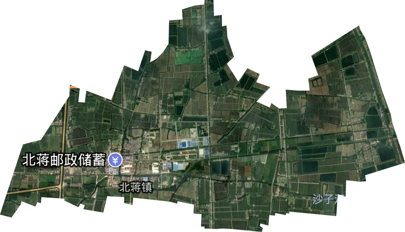 北蔣街道衛(wèi)星圖