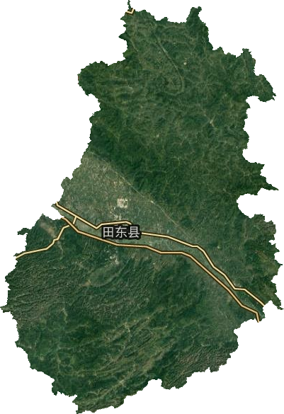 田東縣衛(wèi)星圖
