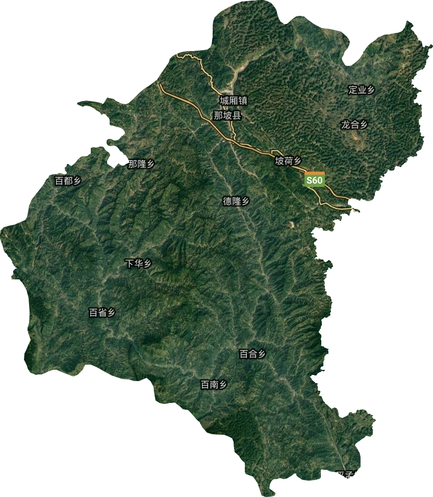 那坡縣衛星圖