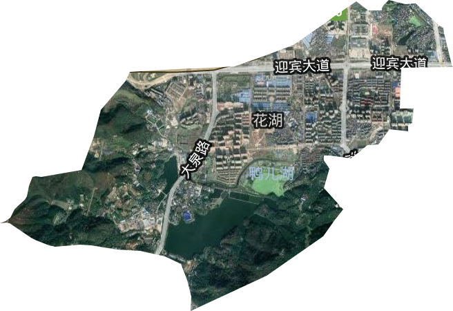 花湖街道衛(wèi)星圖