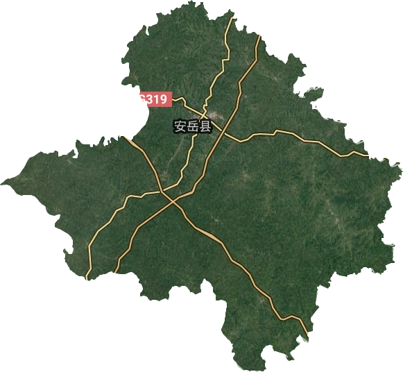 安岳縣衛(wèi)星圖