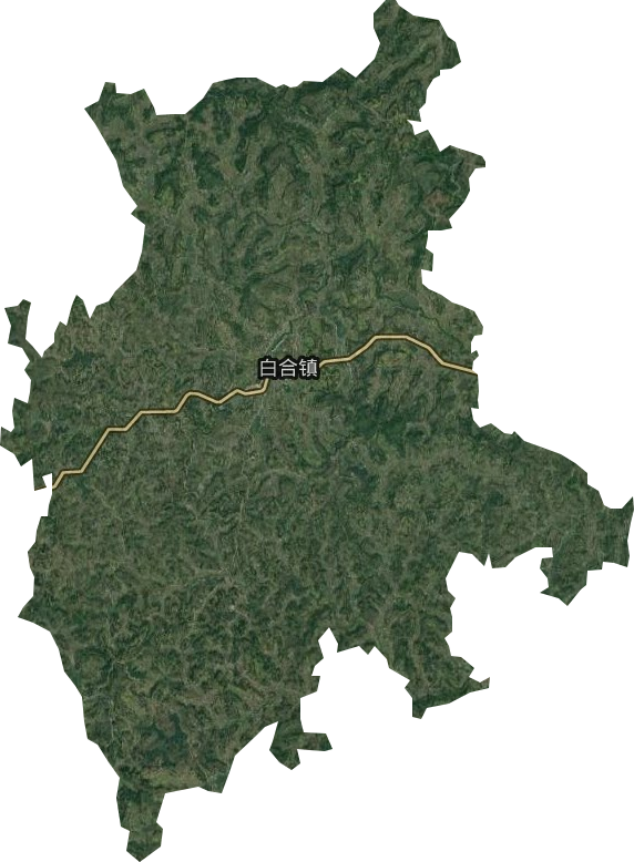白合鎮(zhèn)衛(wèi)星圖