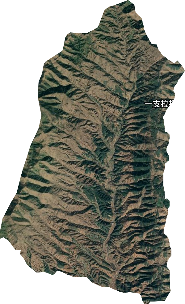 三崗鄉衛星圖