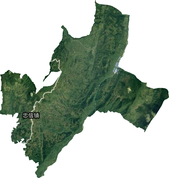 忠信鎮(zhèn)衛(wèi)星圖