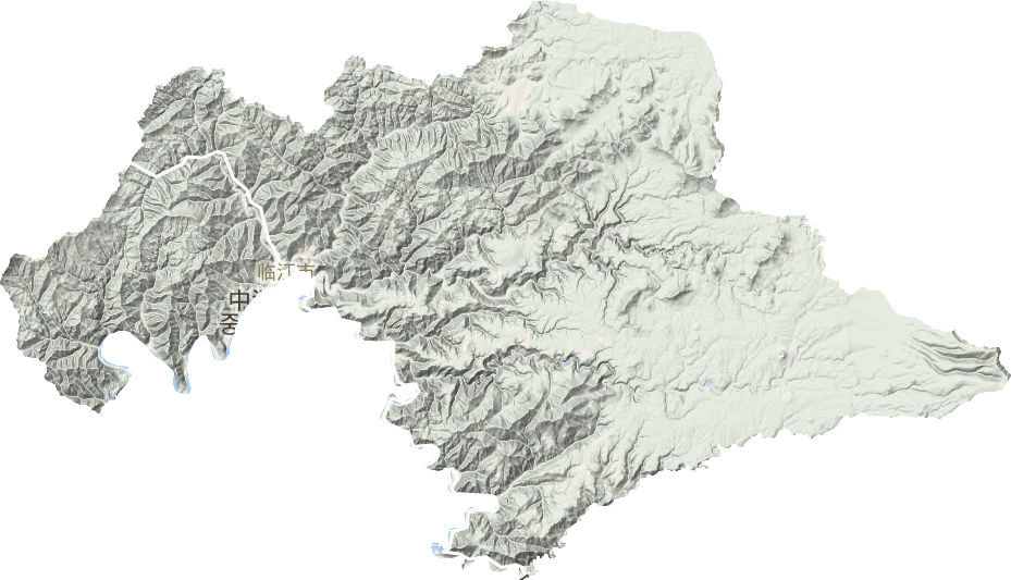 臨江市地形圖