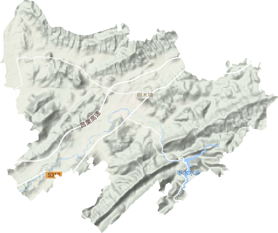 桐木鎮(zhèn)地形圖