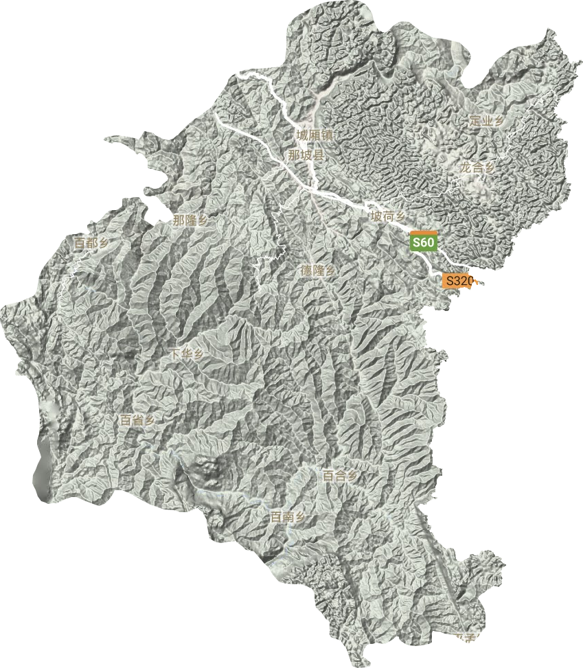 那坡縣地形圖