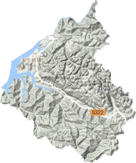 天生橋鎮(zhèn)地形圖