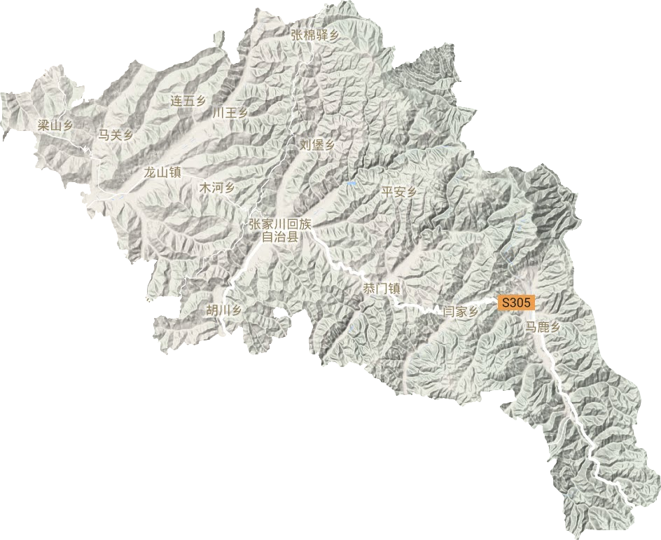 張家川回族自治縣地形圖