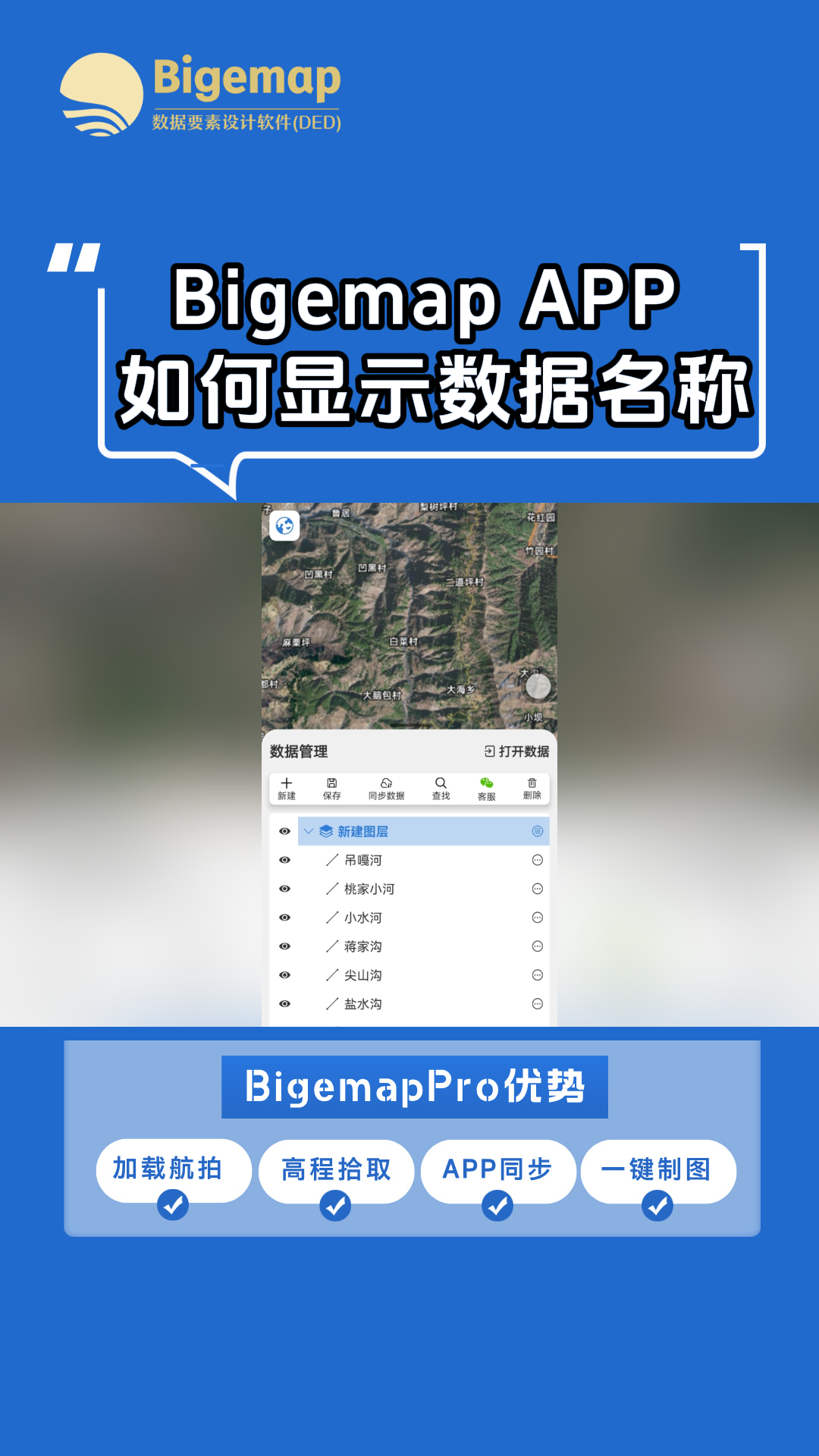 Bigemap APP 如何顯示數據名稱